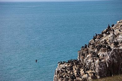 《无主之地4》这个时代的技术终于追上了厂商野心