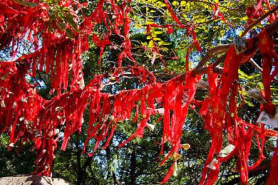 提升几何？《最后的生还者2：重制版》预告片对比原版